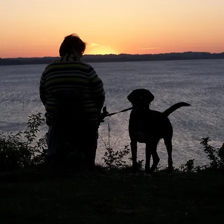 Hjarbaek Fjord Camping & Cottages