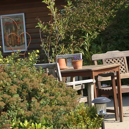 Campsite Hjarbaek Fjord Camping & Cottages *